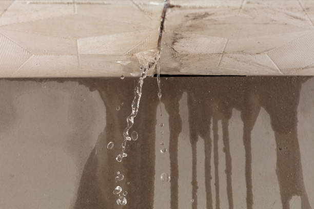 Professional Flood Damage Cleanup technician working in Trinity, AL